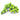 Pea Eggplant 100g (T2) FRESH -PLEASE CHOOSE NEXT DAY DELIVERY