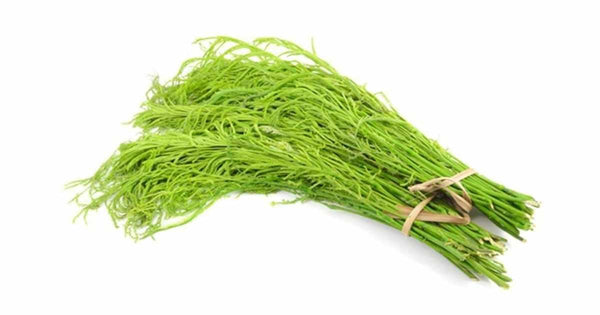 Acacia (Cha Om Leaf)  ชะอม 100g (I)