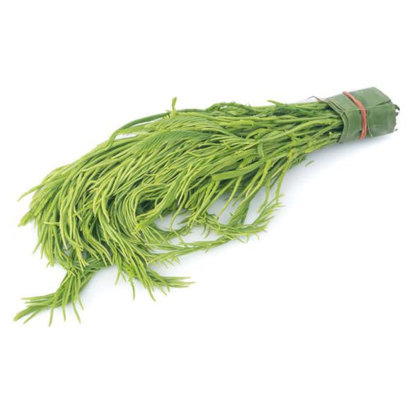 Acacia (Cha Om Leaf) ชะอม 100g -T2 FRESH- PLEASE CHOOSE NEXT DAY DELIVERY