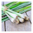 Lemongrass (Takrai) 100g T2 (FRESH - PLEASE CHOOSE NEXT DAY DELIVERY)