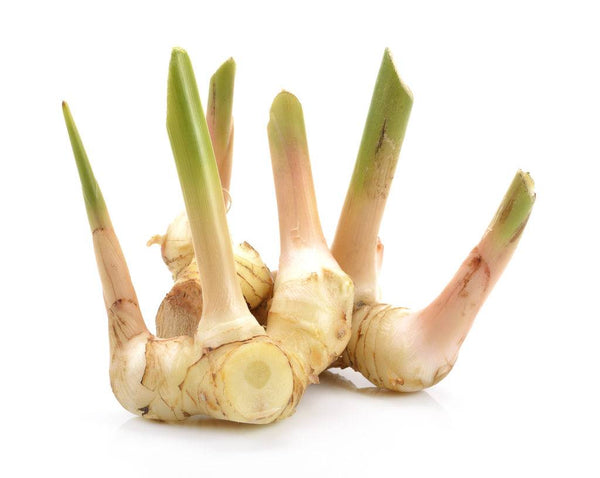 Galangal 100g T2 FRESH- PLEASE CHOOSE NEXT DAY DELIVERY