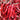 Dried Large Red Chilli 50g