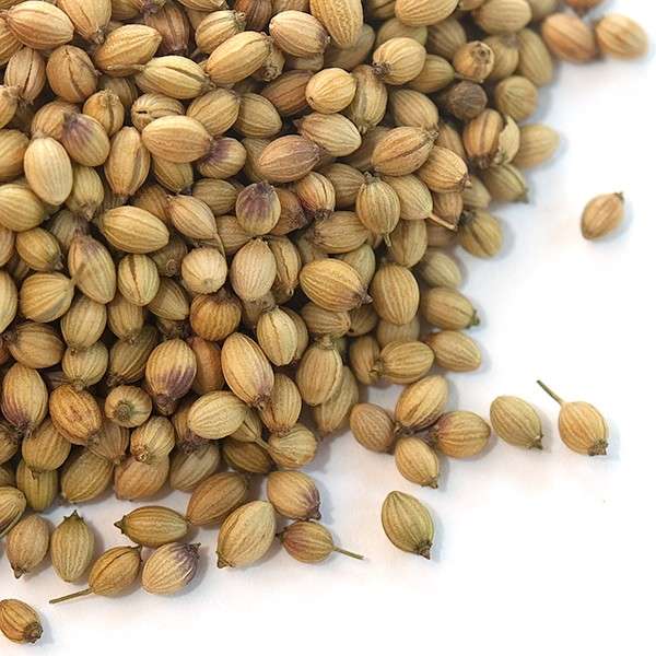 Coriander Seeds 25g