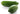Green Papaya Approx. 500g - 600g FRESH- PLEASE CHOOSE NEXT DAY DELIVERY