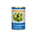 Straw Mushroom (Whole) 425g (LB)