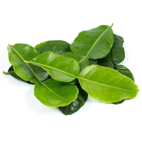Fresh Kaffir Lime Leaves 100g DUMMY T2