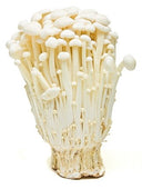Enoki Mushroom 100g FRESH- PLEASE CHOOSE NEXT DAY DELIVERY