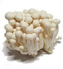 White Shimeji Mushroom 150g FRESH- PLEASE CHOOSE NEXT DAY DELIVERY