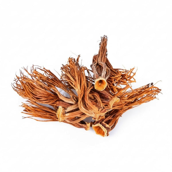 Dried Red Cotten Tree Flower / Dok Ngiew ดอกงิ้ว 10g