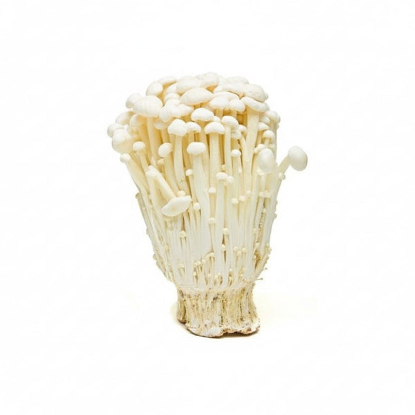 Enoki Mushroom 100g (W)
