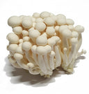 White Shimeji Mushroom 150g