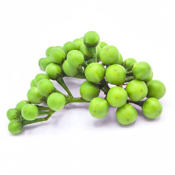 Pea Eggplant 100g (T2) FRESH -PLEASE CHOOSE NEXT DAY DELIVERY