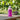 Grape flavour drink 320ml