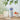 Milkis Refreshing Milk and Yogurt Flavor Drink 250ml