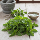 Thai Holy Basil Cubes/ Kra Prao 120g  (FRozen)  PLEASE CHOOSE A.M. DELIVERY ONLY